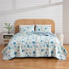 Aqua Blue White Beach Seashell Ocean Coastal 3 pc Quilt Set Twin Full Queen King