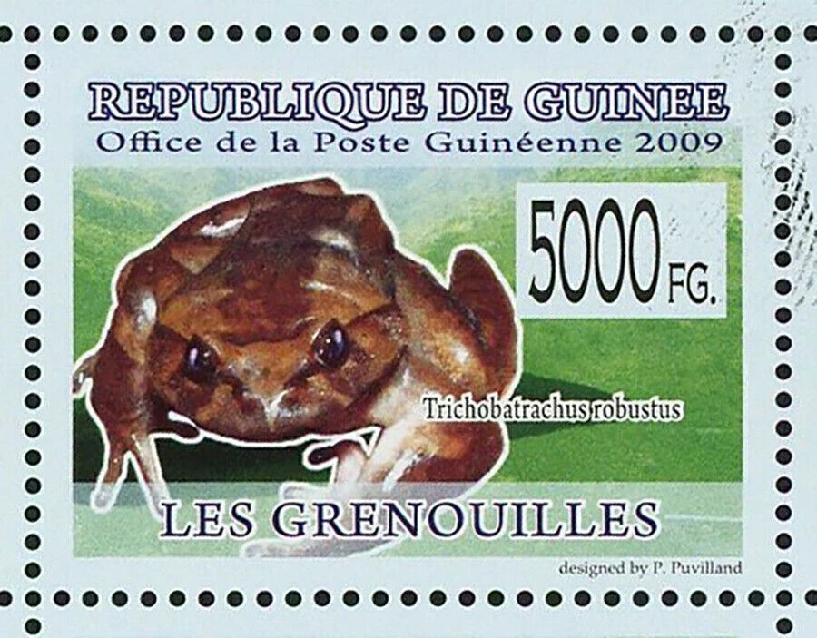 Sello de ranas Kassina Senegalensis Trichobatrachus Robustus Phrynomantis S/S MNH Foto 4 de 4