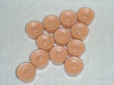 Partylite Ginger Pumpkin Tealights -- NIB