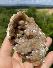 Agatized Fossil Coral, 2-piece lot, Lowndes County Georgia