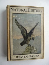 ILLUSTRATED NATURAL HISTORY ~ Rev. J. G. Wood HC circa 1900 Color Plates - 7