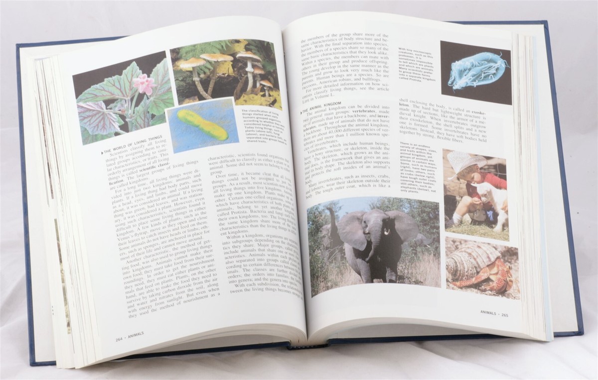 THE NEW BOOK OF KNOWLEDGE19冊 s-l400.jpg