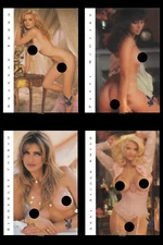 Playboy Trading Cards - Centerfolds of the Century 2000