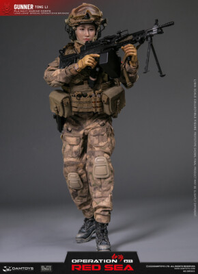 DAMTOYS DMS015 1/6 Marine Corps Operation Brigade Gunner Tong Li