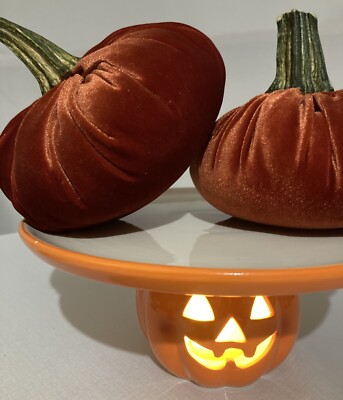 Beautiful Fall Colors Of Rust Velvet Medium Pumpkins