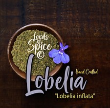 Lobelia Herb Lobelia inflata Lobeila Tea Herbalism USA