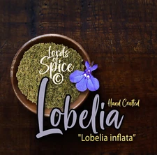 Lobelia Herb (Lobelia inflata) Lobeila Tea Herbalism USA