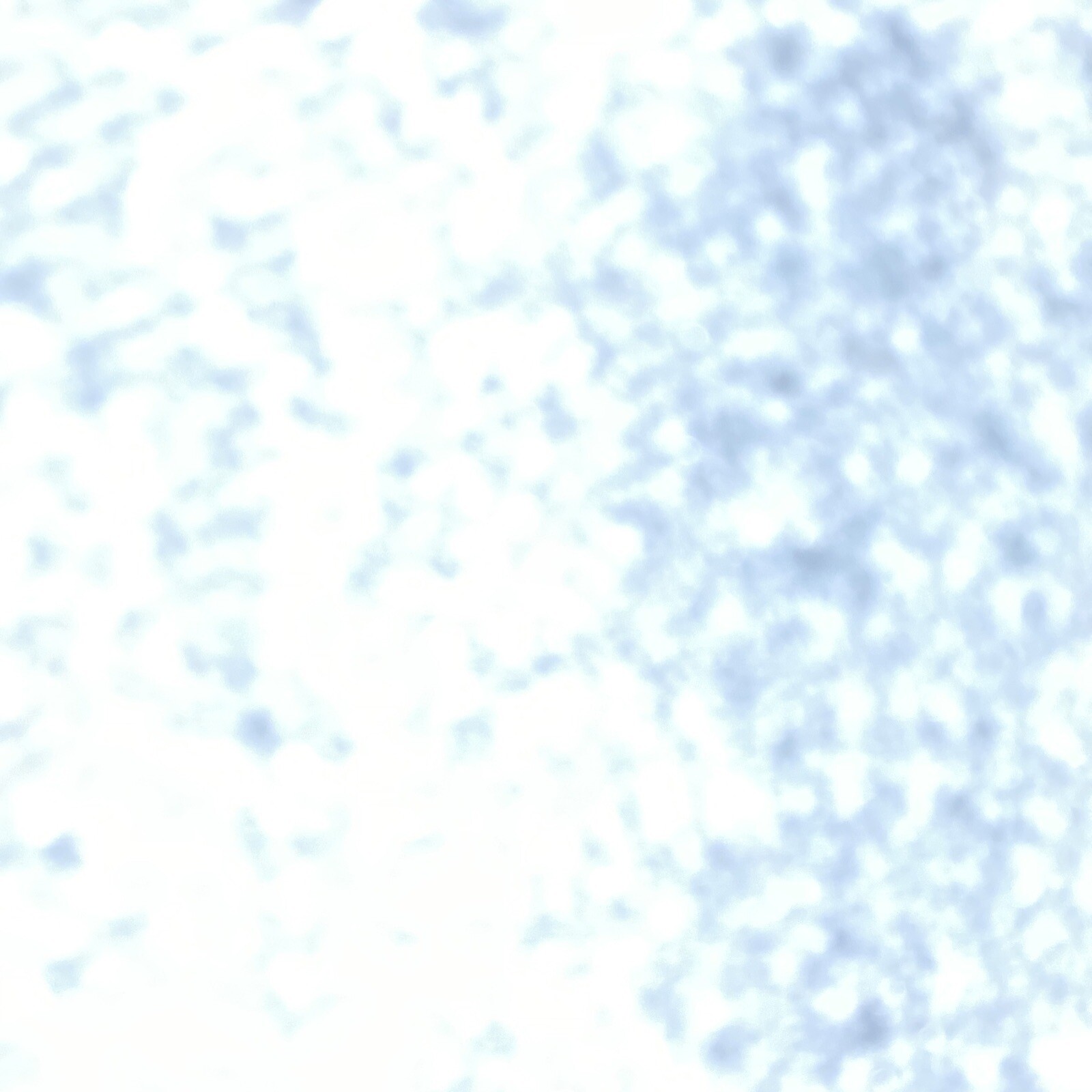 Bild 7 von 11
