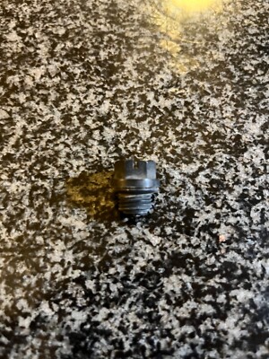 Hayward SPX1700FG Drain Plug w/ Gasket USED