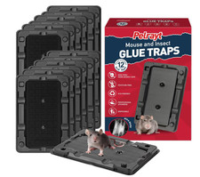 Mouse  Insect Traps 12 Pack, Heavier Sticky Traps with Non-Toxic Glue for Mice