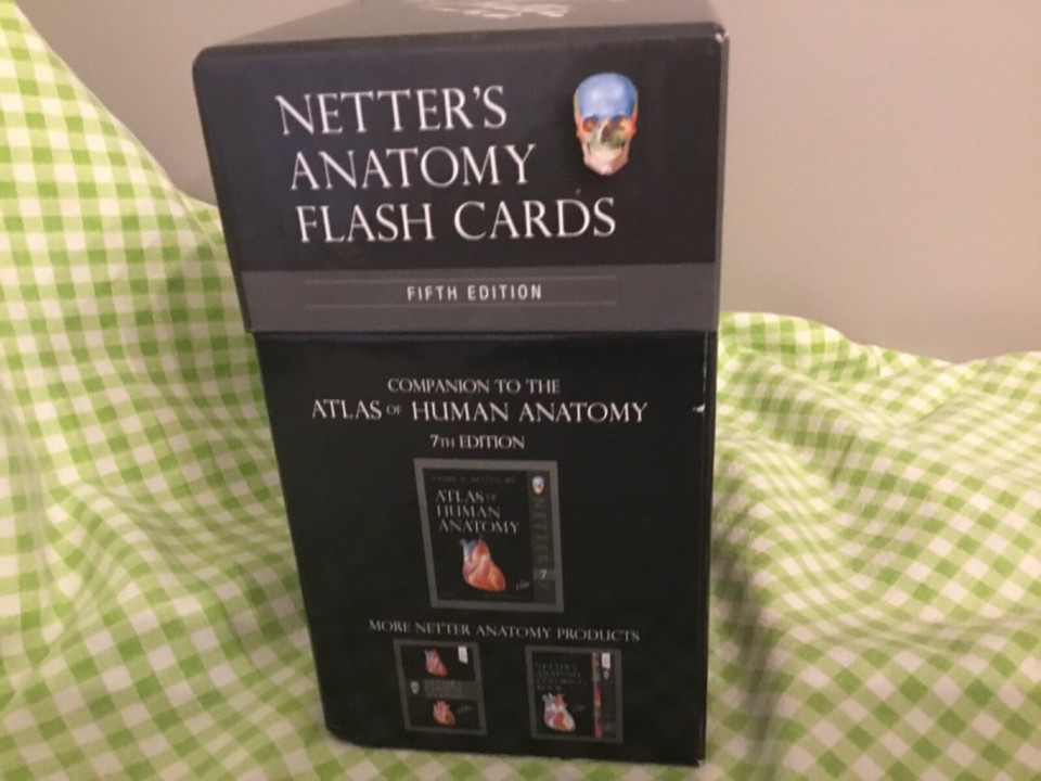 Netter's Anatomy Flash Cards by John Hansen 5th Edition eBay