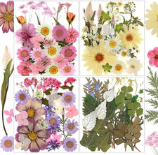 104Pcs Natural Pressed Dried Flowers Resin, Dry Flowers for Resin Accessories, D