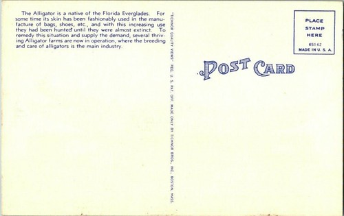 Alligator Exaggeration On Train Car All The Way To Florida Linen Postcard - 第 2/2 張圖片