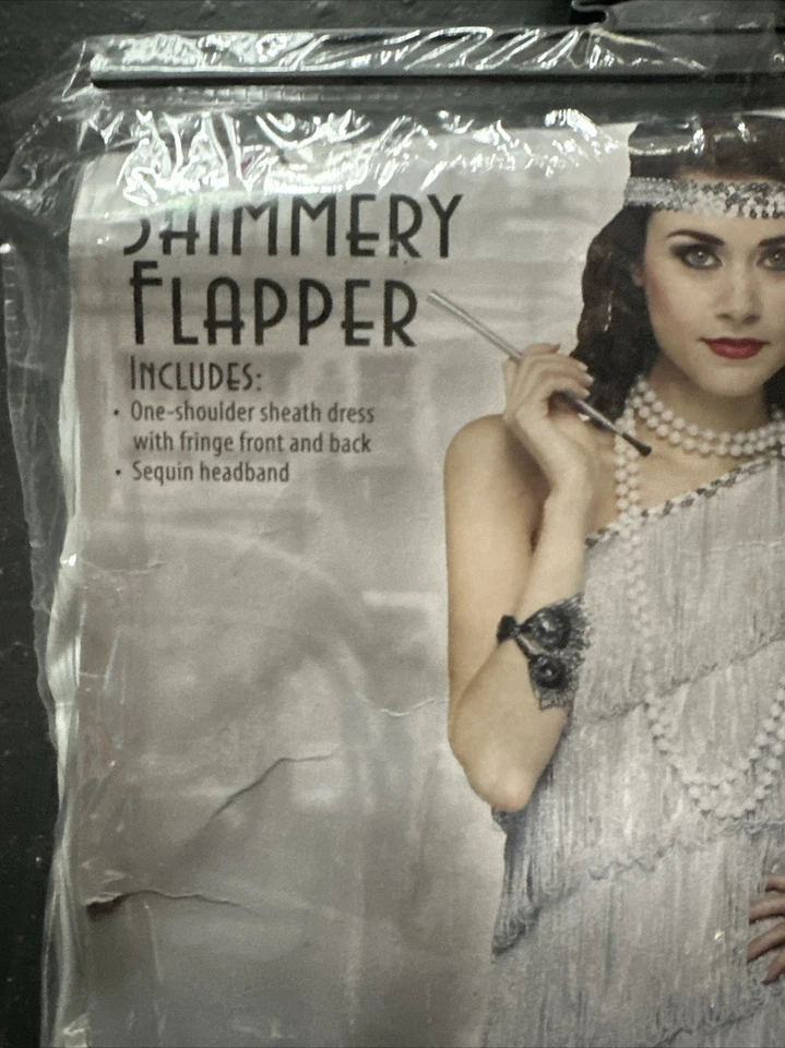 Roaring 20s Prohibition Shimmery Flapper 1920s Costume (Silver) Med/large - Image 3 of 3
