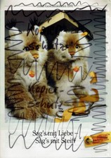 Steiff Knopf im Ohr - Geschenkideen 1991 - Katalog / Prospekt        (P25)