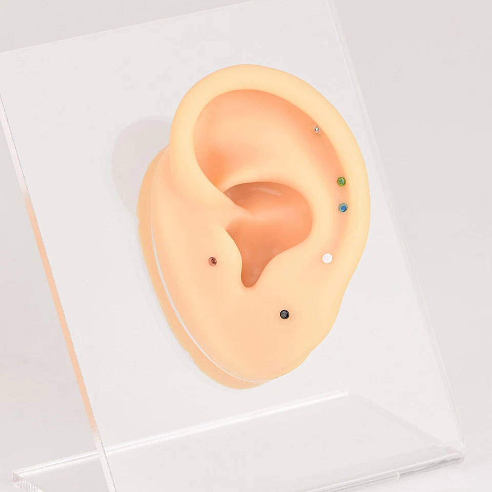 1x Glass Nose Studs Colorful Straight Bone Studs Nose Ring Earrings Piercing 20G - Image 3 of 4