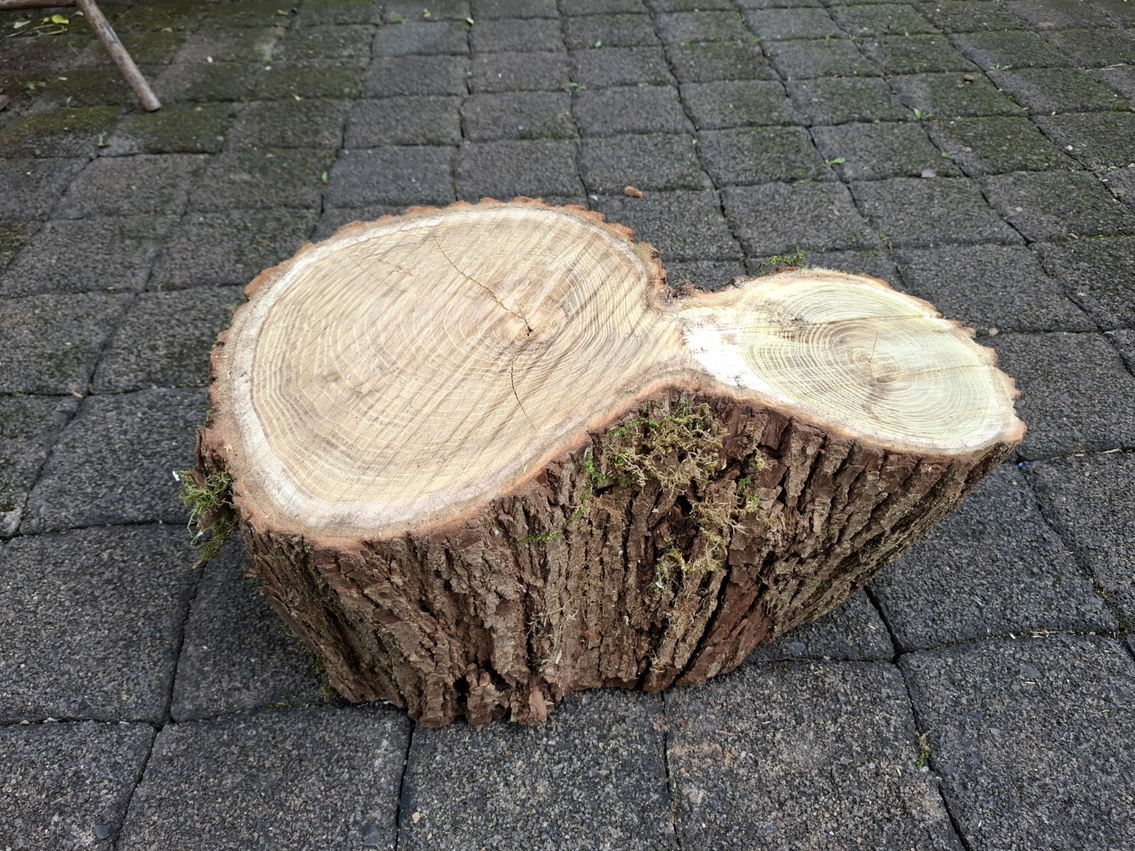 Bild 1 von 5