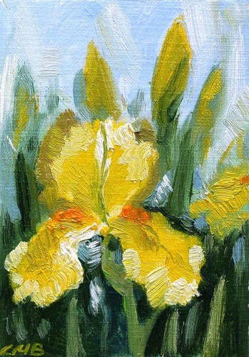 Yellow Irises ACEO Original Oil Painting Collectible Card 2.5"x3.5" Hand Painted
