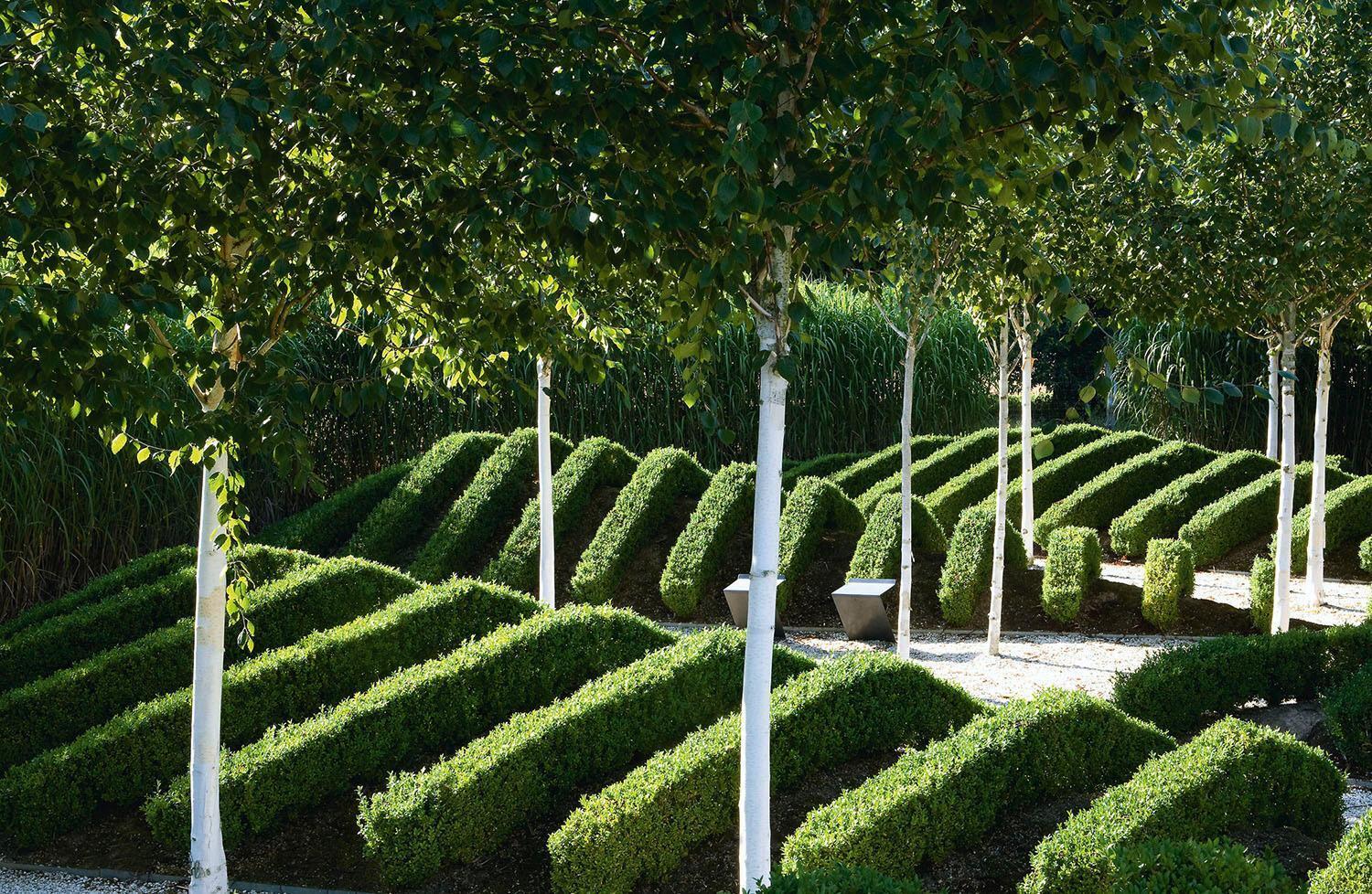 Thumbnail - Exklusives Gartendesign - Spektakuläre Privatgärten Ulrich Timm Buch