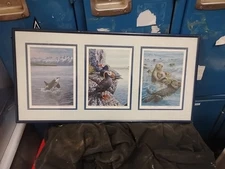 Signed Ed Newbold Prints Wildlife In Frame 22" X 11"