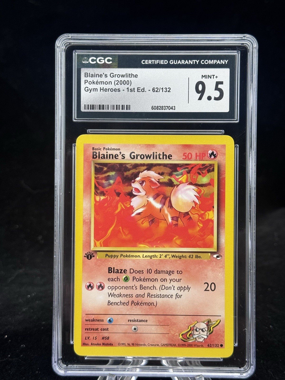 Blaine’s Growlithe #62 1st Edition Gym Heroes 2000 Pokemon CGC 9.5 🔥