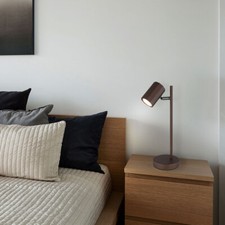 Lampada da Scrivania Lampada da Comodino Lampada da Tavolo Bronzo Mobile H 35cm