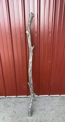 CZ GRAIN Custom Dream Catcher Hanging Driftwood Pole- 2-3 Inches Thick and 52 Inches Long