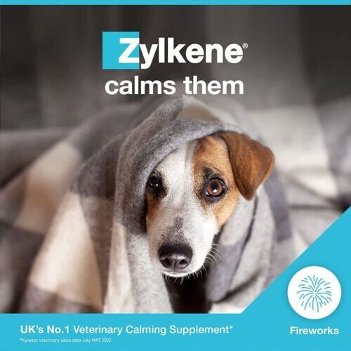 Zylkene Calming Supplements for Cats & Dogs up to 10kg 75mg Helps ease Pet Anx eBay