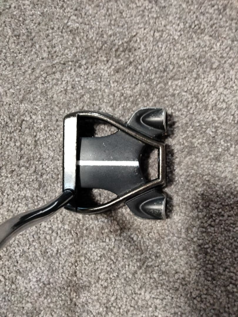 TaylorMade Spider GT Putter