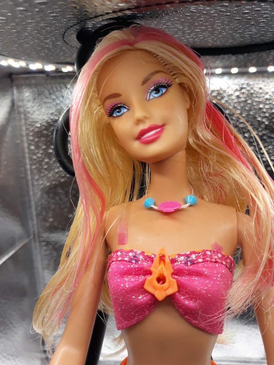 Barbie Murillo La Rosa De Guadalupe Barbie World Pink Cake, Pastel
