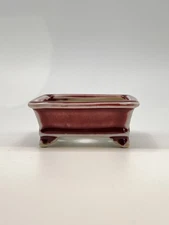 Fire Red glazed bonsai pot mame size Yixing 