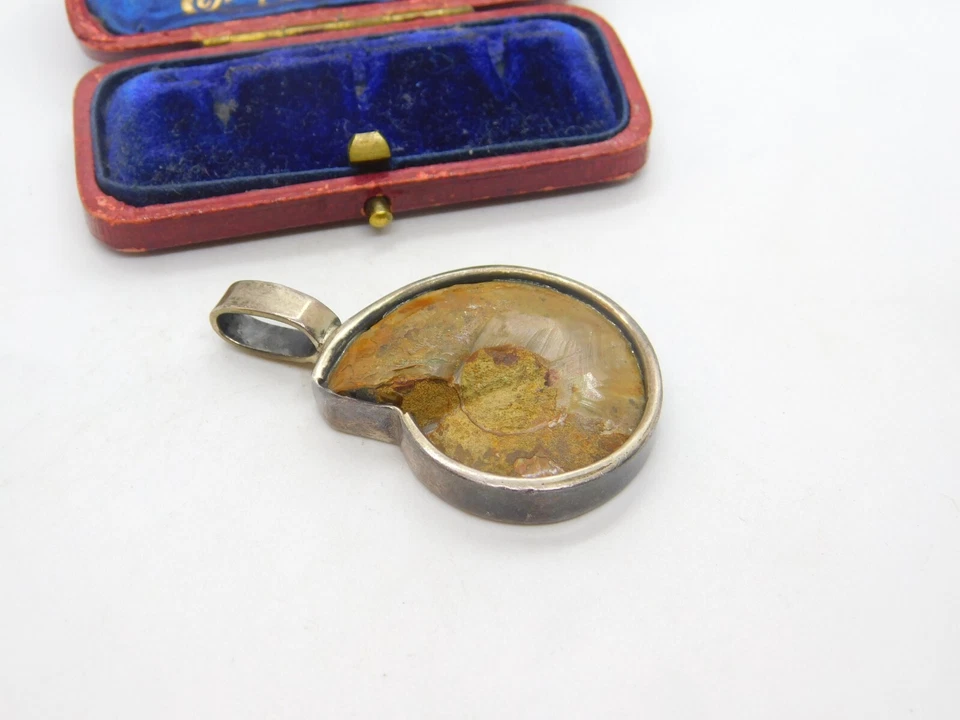 Colgante grande fósil de amonita montado en plata de ley de colección c1950 Foto 4 de 4