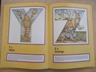 Bild 11 von 12