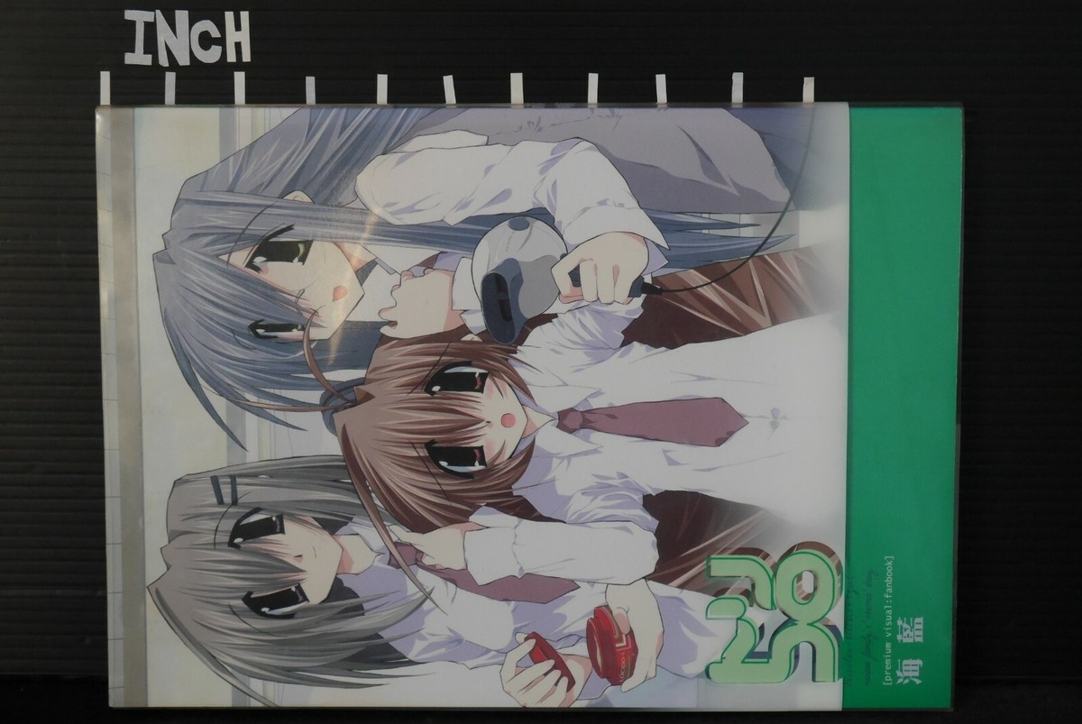 ピリオド Official Visual Fan Book 大槍葦人 Visual Fan Book 全原画