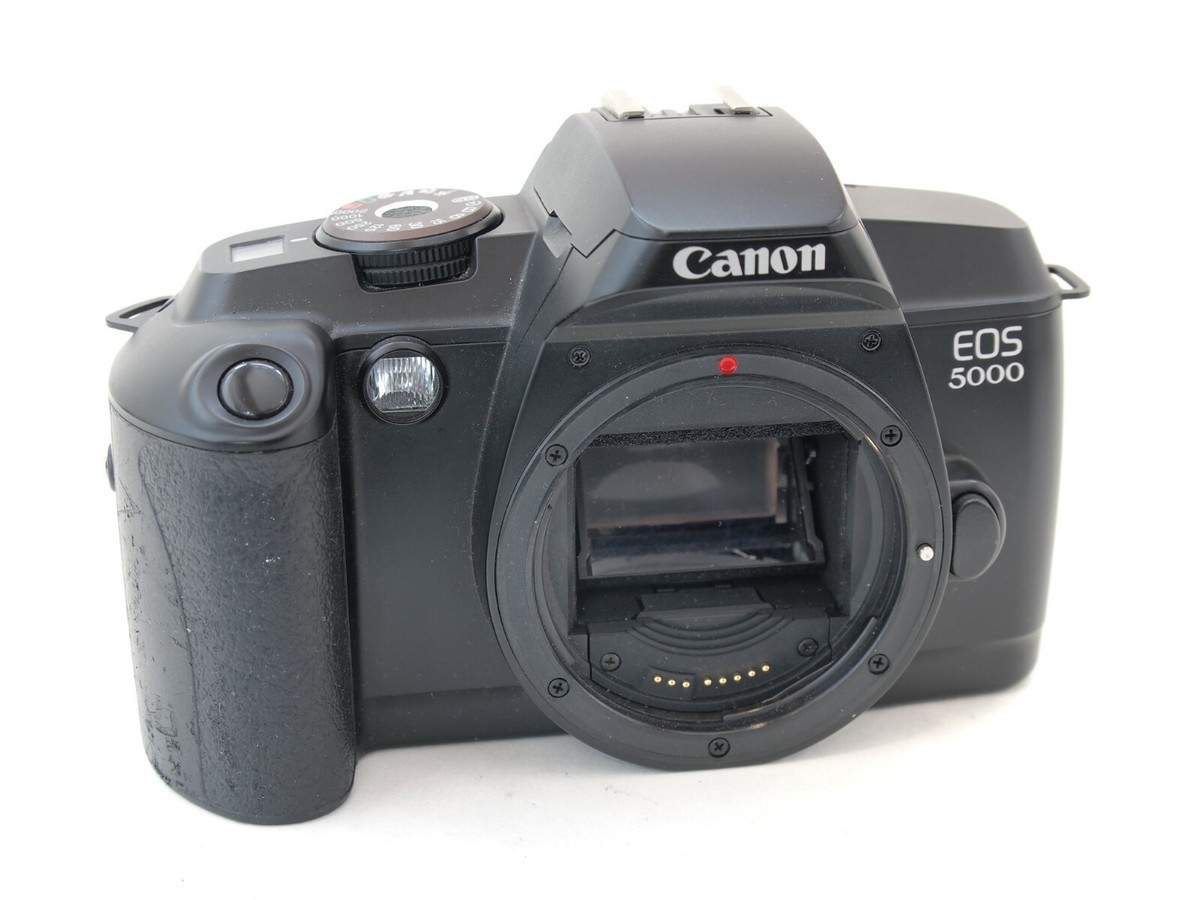 A7 Ii Olx Sony A7iii Sony Second Hand Dslr Camera Under 5000 Olx