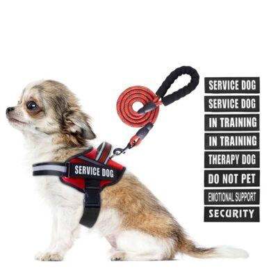 Service Dog Vest Harness and Leash Set in Training Dog Harness with 10 Dog Pa...