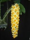 Foto 5 di 6