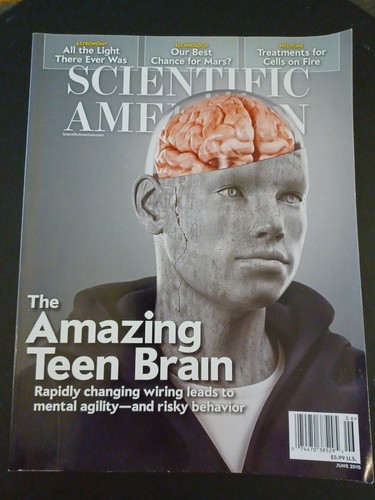 SCIENTIFIC AMERICAN MAGAZINE - JUNE 2015 - The Amazing Teen Brain | eBay