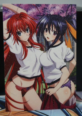 Rias & Akeno High School DxD Sexy Waifu Textured Custom Card