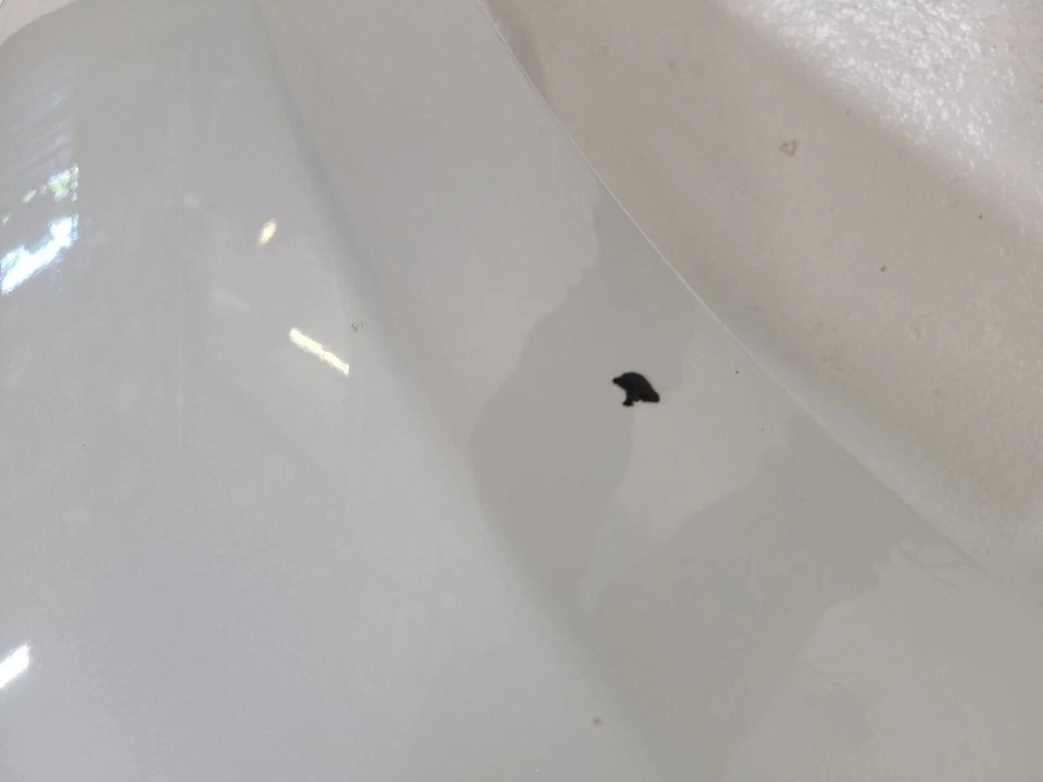  2006 2007 2008 TOYOTA RAV4 Passenger Fender With Antenna Without Fender Flare   Foto 3 de 4