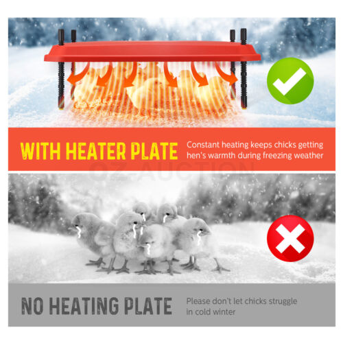 Chick Brooder Heating Plate Warmer Chicken Coop Brooding Heater Poultry Duckling - Picture 10 of 61