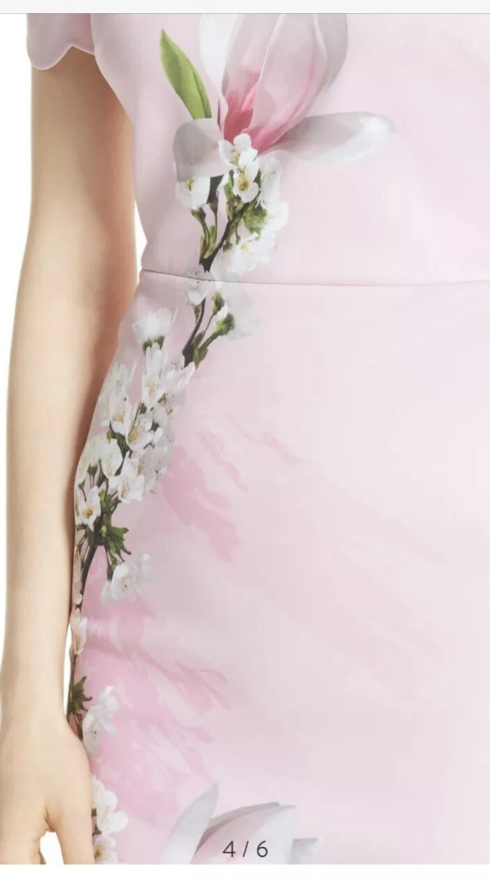 olyva harmony scallop trim bardot dress