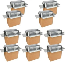 Thermo Chill Double Insulated Carton with Foil Insulated Bag Liner Three sizes