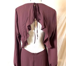 Chelsea28 Nordstrom Dress Open Back Ruffle Women's Sz L Long Sleeve Mini Sheer
