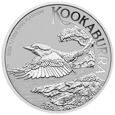 Australien 15 $ Kookaburra 2026 Platinm&uuml;nze  1/10 oz Platin 999.5  ST / BU
