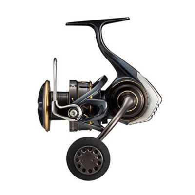 Daiwa 22 CALDIA SW 4000D-CXH 6.2 Spinning Reel | eBay