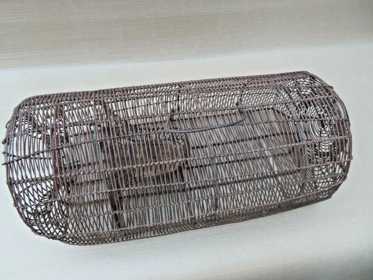 Rat cage india deals