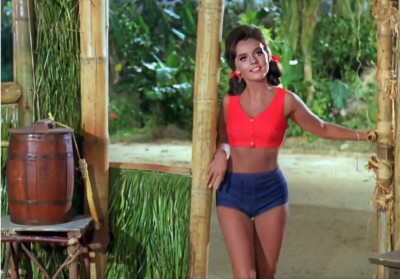 MARY ANN GILLIGAN'S ISLAND High Quality Metal Fridge Magnet 2.7x4 8216