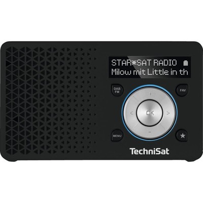 TechniSat DIGITRADIO 1 Radio Schwarz/Silber