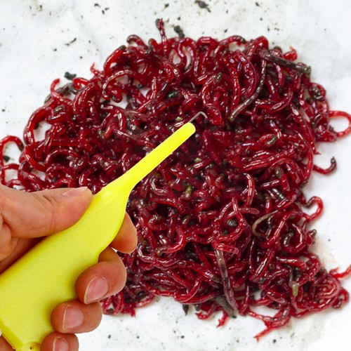 1 Set Esche da Pesca Vermi Rossi Esca Clip Blood Worm Clip Forniture da Pesca - Foto 8 di 12